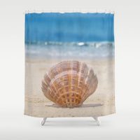 Shower Curtain with big Seashell, 71x74 inch