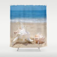 Shower Curtain with two big seashells, 71x74 inch