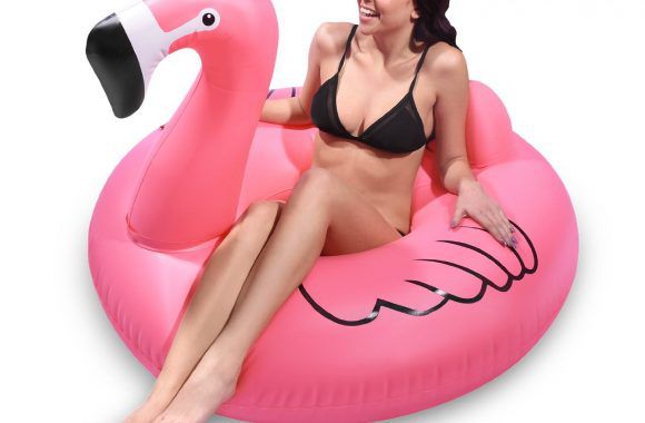 flamingo-pool