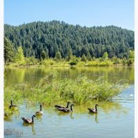 Spooner Lake Fine Art Print-14, Wall Art, large art print