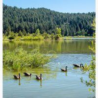 Spooner Lake Fine Art Print-15, Wall Art, large art print