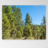 Spooner Lake Fine Art Print-6, Wall Art, large art print