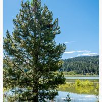 Spooner Lake Fine Art Print-16, Wall Art, large art print