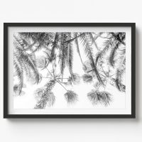BW- COASTAL WALL ART - CA102 - CANVAS, METAL and PRINTS COLLECTION (horizontal)