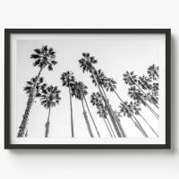 BW- COASTAL WALL ART - CA98 - CANVAS, METAL and PRINTS COLLECTION (horizontal)