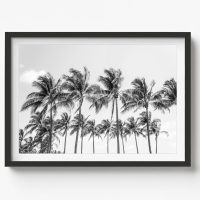 BW- COASTAL WALL ART - CA101 - CANVAS, METAL and PRINTS COLLECTION (horizontal)