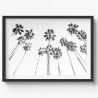 BW- COASTAL WALL ART - CA97 - CANVAS, METAL and PRINTS COLLECTION (horizontal)