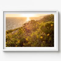 COASTAL WALL ART-78 (horizontal)