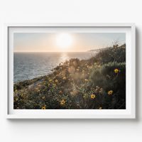 COASTAL WALL ART-77 (horizontal)